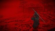Naoe's Bo staff is a great addition (Image via Ubisoft)